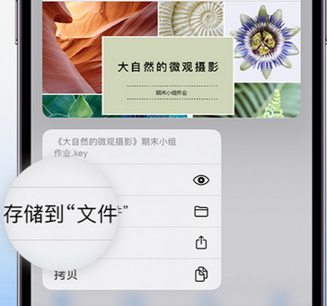 策勒apple维修中心分享iPhone文件应用中存储和找到下载文件