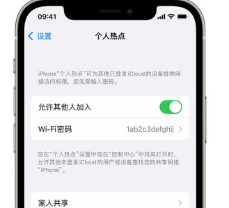 策勒apple服务站点分享iPhone上个人热点丢失了怎么办 