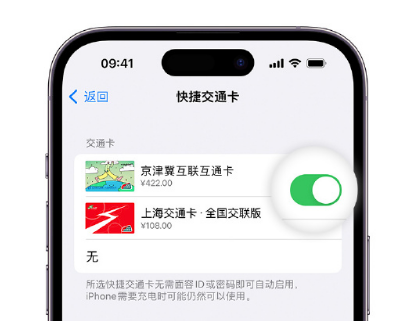 策勒apple维修点分享iPhone上更换Apple Pay快捷交通卡手绘卡面 