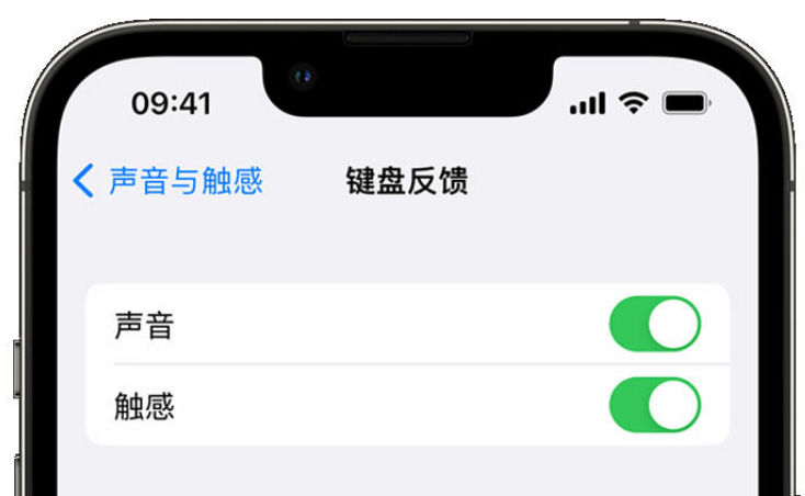 策勒苹果手机维修分享iPhone 14触感键盘使用方法 