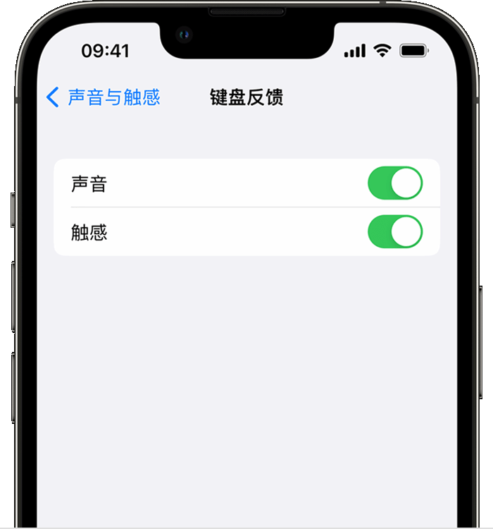 策勒苹果14维修店分享如何在 iPhone 14 机型中使用触感键盘 