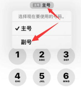 策勒苹果14维修店分享iPhone 14 Pro Max使用副卡打电话的方法 