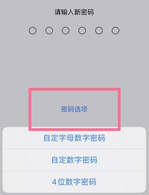 策勒苹果14维修分享iPhone 14plus设置密码的方法 