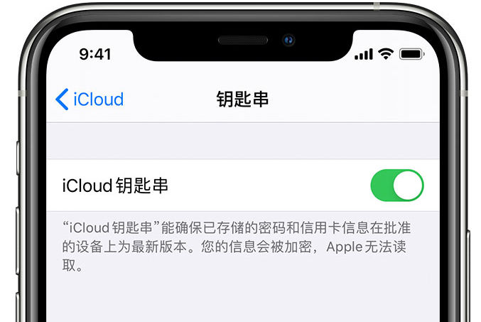 策勒苹果手机维修分享在 iPhone 上开启 iCloud 钥匙串之后会储存哪些信息 