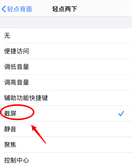 策勒苹果手机维修分享iPhone12如何启用双击截屏 