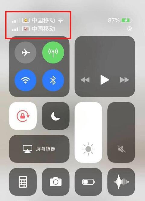 策勒苹果手机维修分享为 iPhone 12 双卡设置标签 