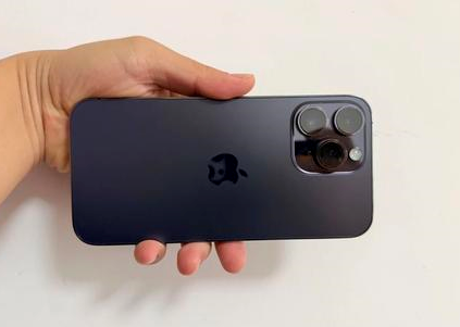 策勒苹果维修点分享iPhone 14 Pro Max黑屏少见故障盘点 